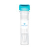 Human IGF-2 Animal-Free Recombinant Protein