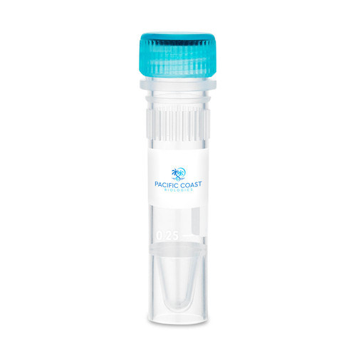 Human EGF Animal-Free Recombinant Protein Human EGF Animal-Free Recombinant Protein