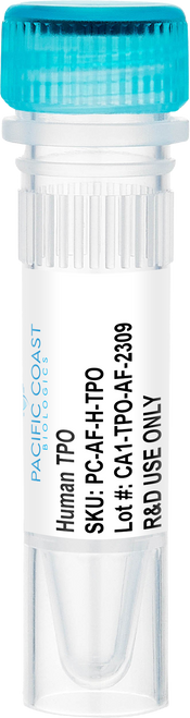 Human TPO Animal-Free Recombinant Protein