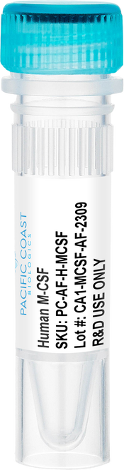 Human M-CSF Animal-Free Recombinant Protein