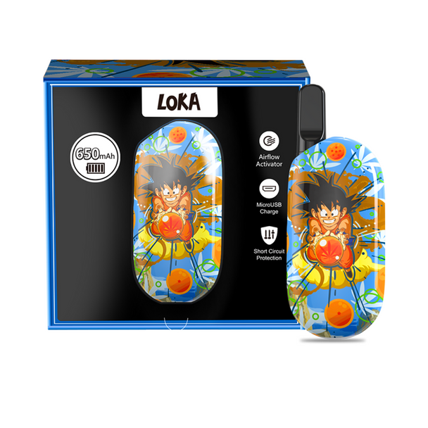 LOKA 650MAH RECHARGEABLE BATTERY DIFFERENT DESIGNS