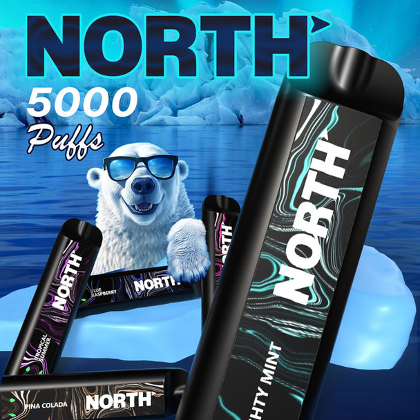 NORTH 5000 PUFFS Rechargeable Disposable Vape | Wisemen Wholesale