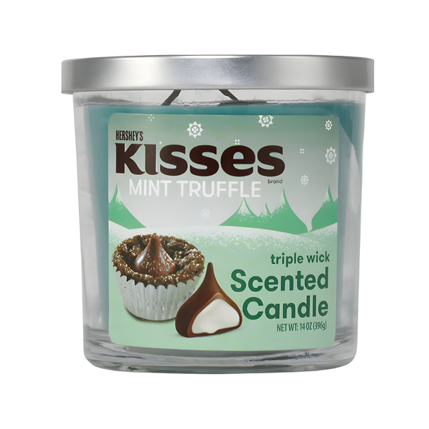 SCENTED CANDLE ASSORTED VARIETY 14OZ