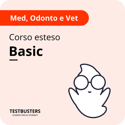 Corso Semestre Filtro PLUS Agosto - Saldo next 13