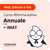 Acconto Annuale Riforma + IMAT Estivo