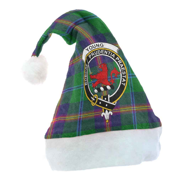 Scottish Young Clan Crest Tartan Christmas Hat Front Tartan Plaid