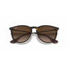 Erika Sunglasses | Multiple Styles