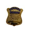 Boston Police Pins