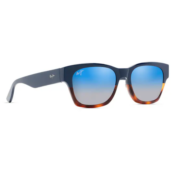 VALLEY ISLE | Polarized Classic Sunglasses with Tortoise