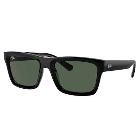 Warren Sunglasses