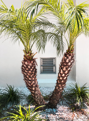 Smart Vent 1540-511 White Dual Function Double Stacker Block Wall 16" x 16" Flood Vent