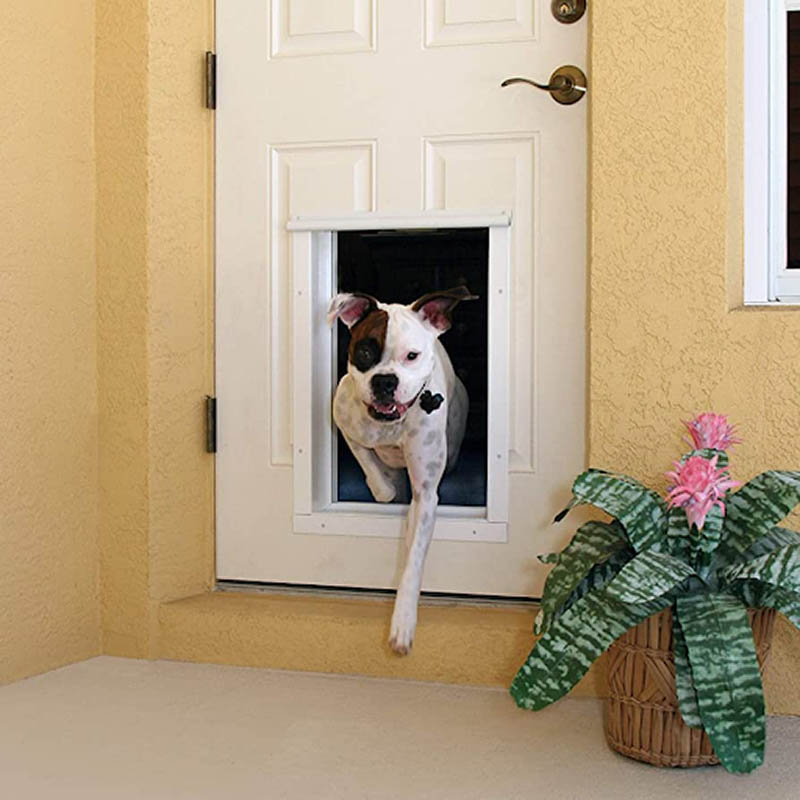 dog closing a door