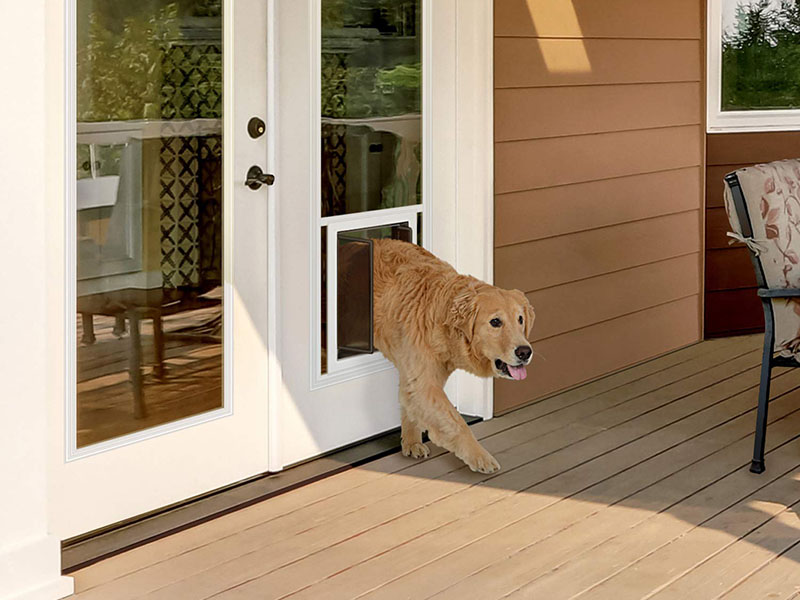 Exterior door with deals doggie door installed