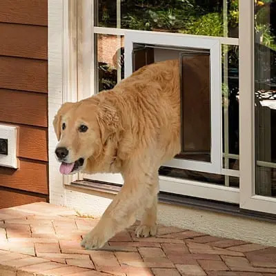 Plexidor weatherproof hot sale dog doors