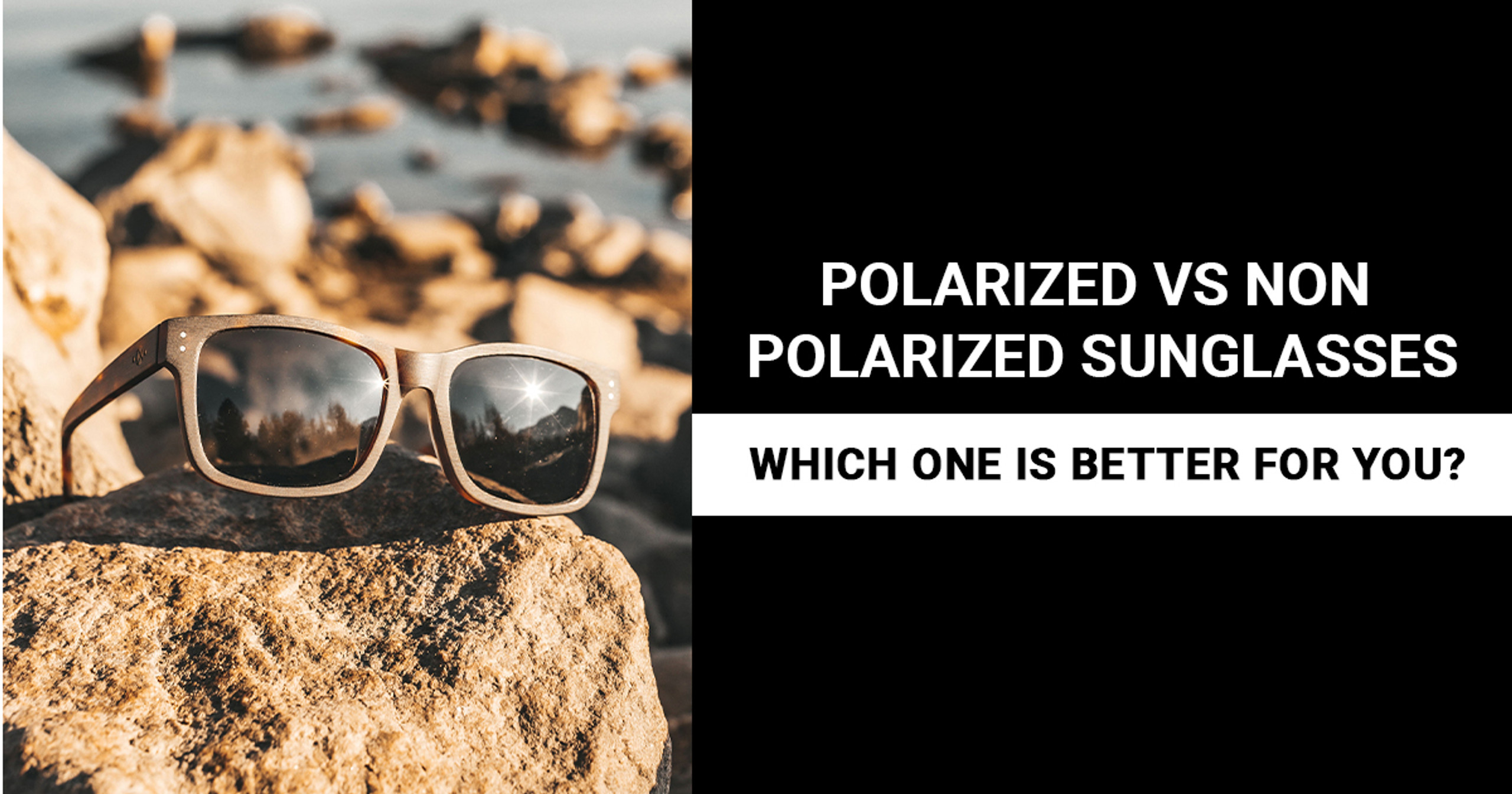 Polarized vs. NonPolarized Sunglasses Which Is Better for You