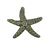 Starfish Knob