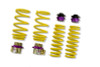 BMW H.A.S. Coilover Kit - KW 25320057