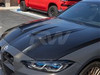 BMW Aluminum DTM Hood - RW Carbon BMWG8X023