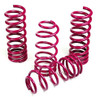 BMW Sport Lowering Springs - Vogtland 9161005