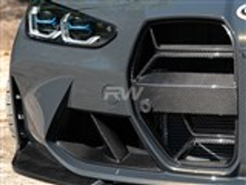 BMW CSL Style Carbon Fiber Grille - RW Carbon BMWG8X06