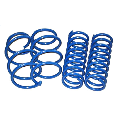 BMW Performance Spring Set - Dinan D100-0480