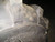 (2-Tires) 19.5L24 tires Industrial Plus R-4 12PR tire 19.5-24 XHD Ultra 19524
