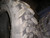 10-16.5 tires Premium Skid-steer loader 10PR tire 10/16.5 Samson / Advance 10165