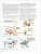 Information about motion sensing part of brain.