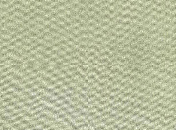  Crystal Organza Apple Green Width 58/60\" Apparel Fabric 