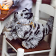 In 18 inch doll kitchen the grey striped kitty cat for 18 inch dolls sits on the table chair.