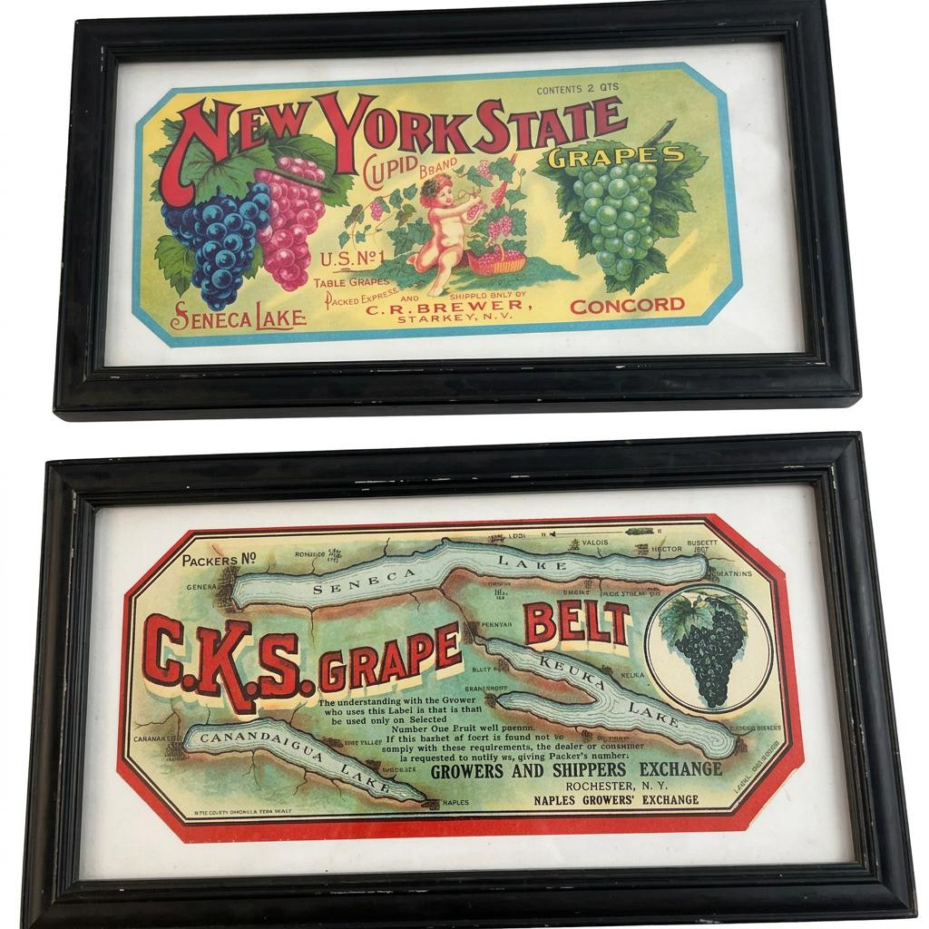 Pair of framed vintage Finger Lakes New York grape crate labels including Cupid Brand and C.K.S. Grape Belt map in black 13x7 frames