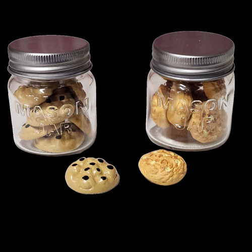 2 mason jars filled with chocolate chip cookies and oat cookies sized for American Girl dolls
