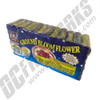 Ground Bloom Brick 72/Ct