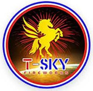 T-Sky Fireworks