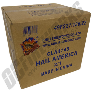 Wholesale Fireworks Hail America Case 2/1