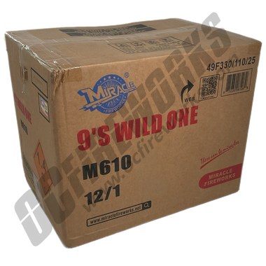 Wholesale Fireworks Wild One Case 12/1