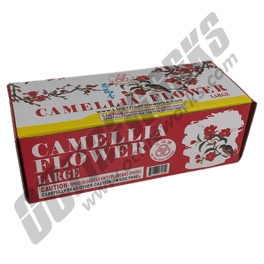 Camellia Flower Display Box