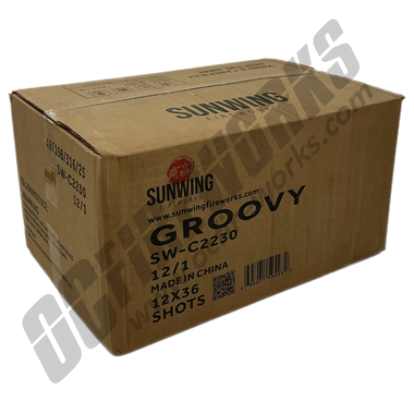 Wholesale Fireworks Groovy Case 12/1