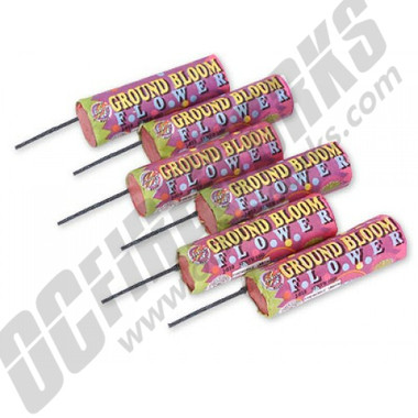 Ground Bloom 6/Pk
