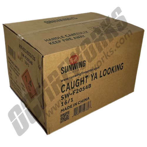 Wholesale Fireworks Caught Ya Looking Case 16/1