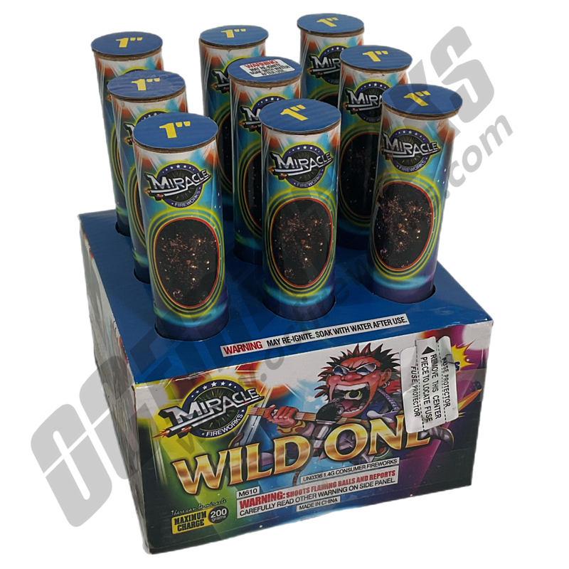 Wholesale Fireworks Wild One Case 12/1