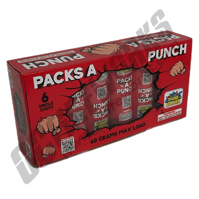 Wholesale Fireworks Packs a Punch Case 12/6