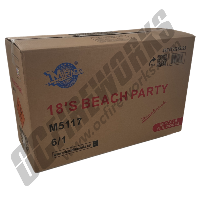 Wholesale Fireworks Beach Party Case 6/1