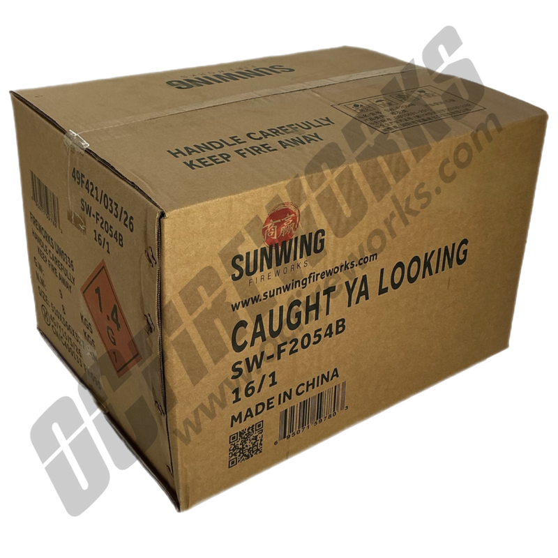 Wholesale Fireworks Caught Ya Looking Case 16/1