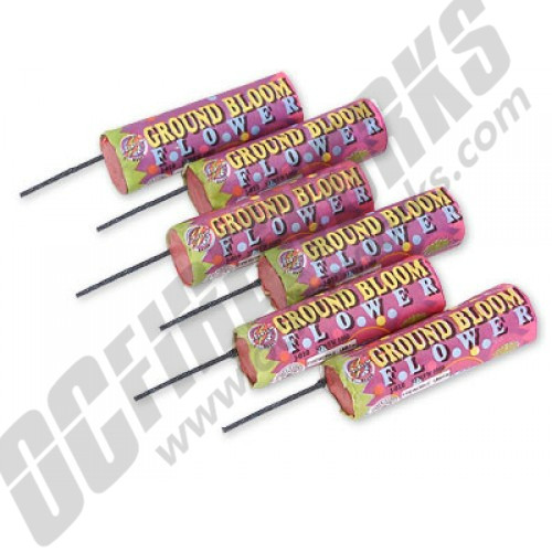 Ground Bloom 6/Pk