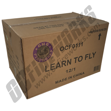 Wholesale Fireworks Learn to Fly Case 12/1