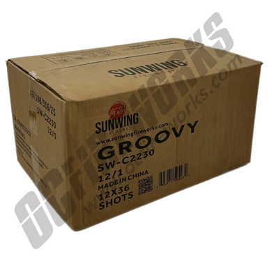Wholesale Fireworks Groovy Case 12/1