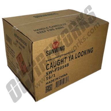 Wholesale Fireworks Caught Ya Looking Case 16/1
