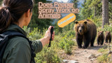 Does Pepper Spray Work on Animals: A strong repellent 