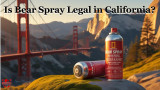 Is Bear Spray Legal in California? 2026 Guide
